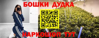 ECSTASY Будённовск