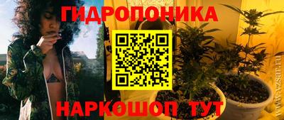 ECSTASY Будённовск