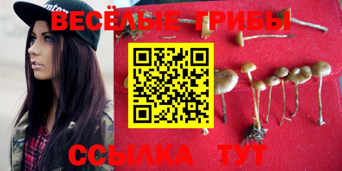 Галлюциногенные грибы GOLDEN TEACHER  Вход с VPN  Псилоцибиновые грибы Magic Shrooms  Лянтор 